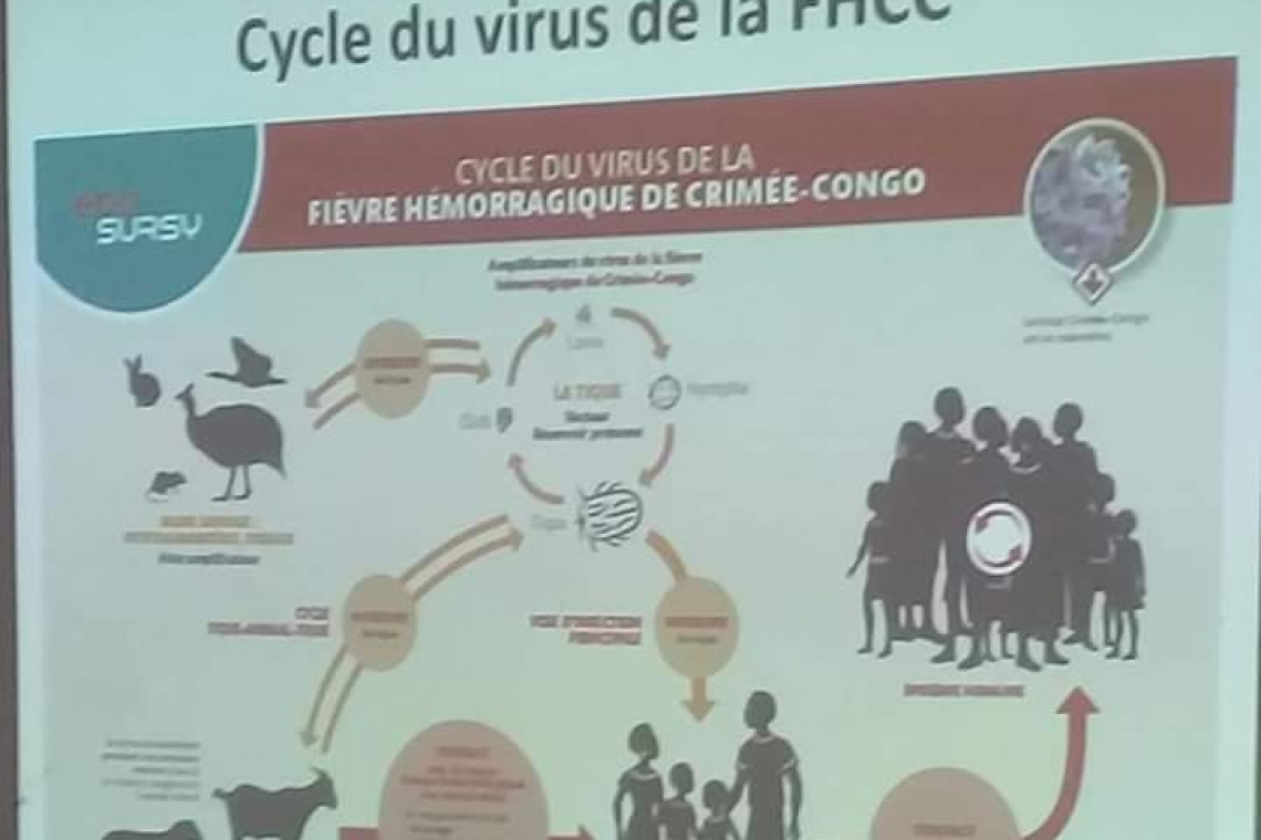 Mali: Découverte de cas de fièvre hémorragique virale