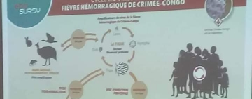 Mali: Découverte de cas de fièvre hémorragique virale