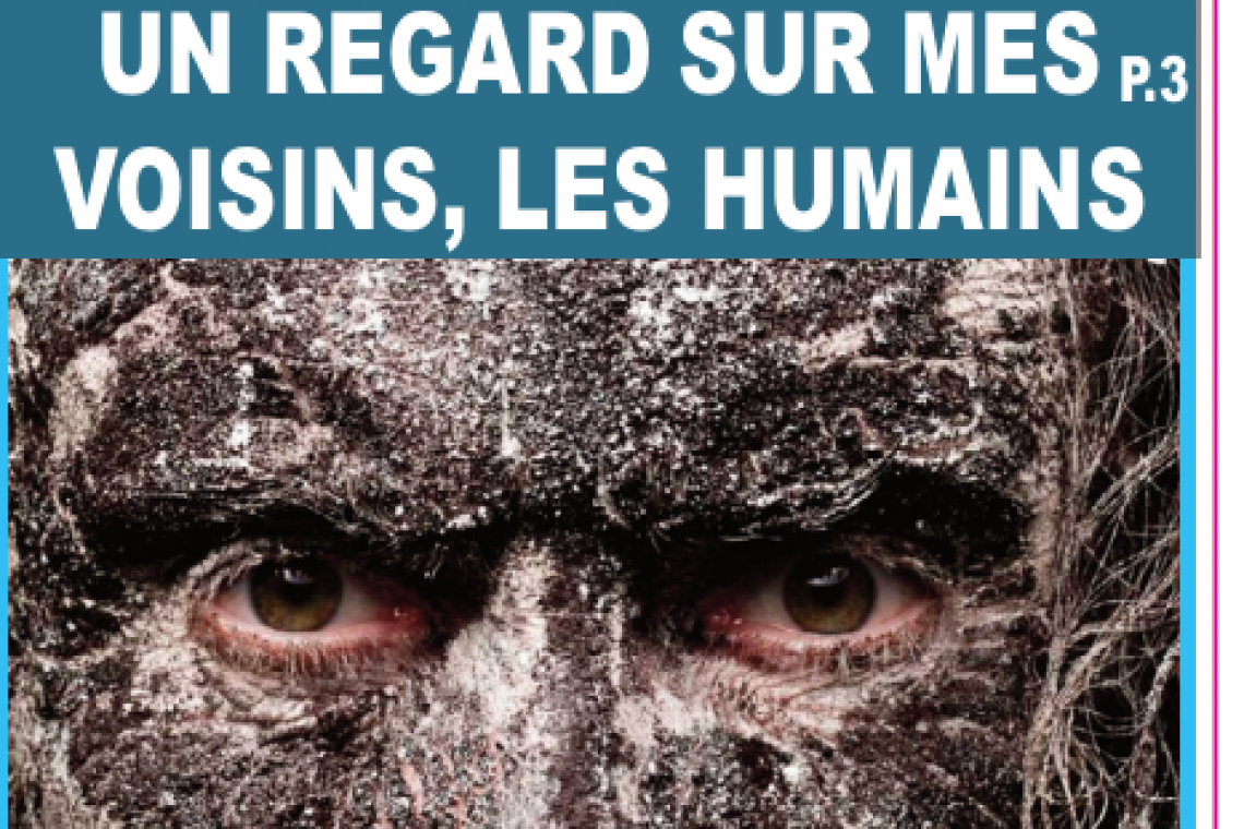 Les humains ont un faible pour tout ce qui est beau 