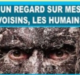 En vérité, l’être humain est unique en son genre. Il suffit de l’approcher un peu de trop près pour constater cette évidence. Ce sont de vilains turbulents voisins. Des perturbateurs de tranquillité hors pair ! 